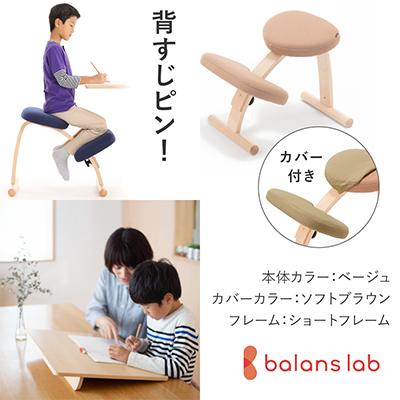 ふるさと納税 美濃市 バランスイージー ショート[ベージュ]カバー付+イージーライティングボードM【複数個口で配送】