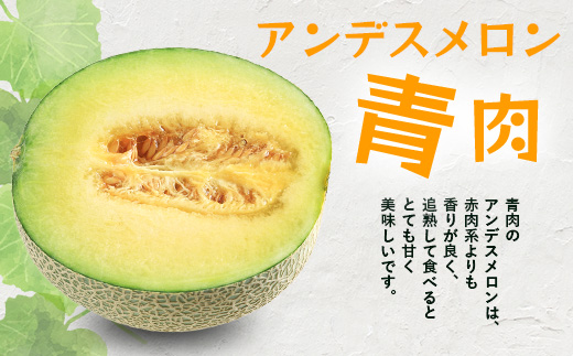 【2025年5月上旬～発送 先行予約】アンデスメロン 青肉 5玉 (合計 約4.5～5kg) 熊本県 多良木町産 果物 フルーツ メロン 先行予約 5個 青肉 ミツバチ交配 期間限定 数量限定 109