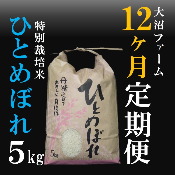 10月スタート【定期便12回】大沼ファームの特別栽培米ひとめぼれ5kg