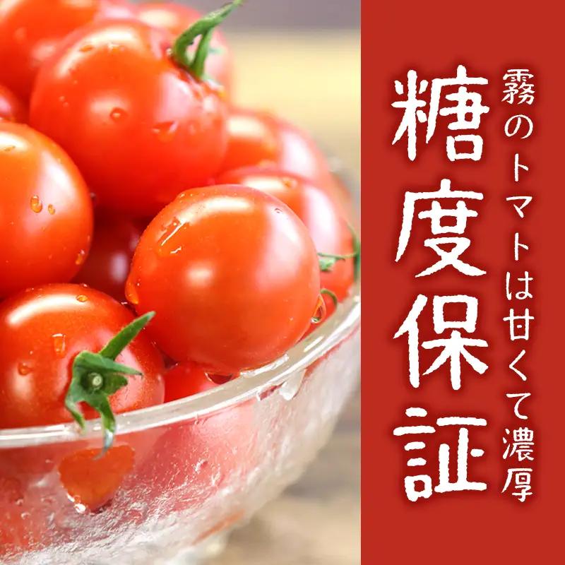 12月以降発送予約【霧で育てた濃厚な味】霧のトマト 200ｇ×12パック(20-59)