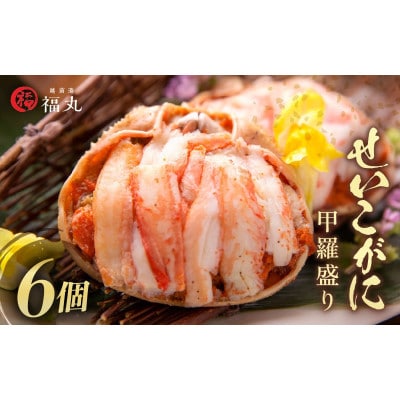 せいこがに 甲羅盛り × 6パック　福井の網元漁師「福丸」が厳選!【配送不可地域：離島】【1628535】