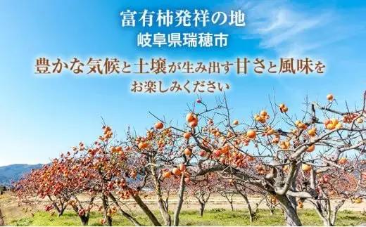 【先行予約】富有柿 贈答用 L×14個【富有柿の発祥の地 瑞穂市！！】※2026年11月～発送