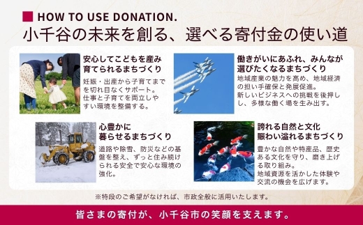 【柿の種 かきたね 新潟柚子胡椒風味 20袋】米菓 Design Niigata 阿部幸製菓 | 柿の種 かきのたね 米菓 あられ おかき おつまみ 酒の肴 ビールのお供 お菓子 おやつ 柚子胡椒 新潟名物 お取り寄せ にいがた おぢや 新潟県 小千谷市 【0002-0302-02】