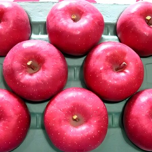 【完熟サンふじ5kg】鰹と海藻のエキスでコク！旨っ！全面真っ赤々！完熟サンふじ【先行予約】 ｜ サンふじ 林檎 りんご 長野県 松本市 信州産 さんふじ 果物 フルーツ ふるさと納税