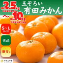 【ふるさと納税】みかん S～Mサイズ 秀品 箱込 2.5kg～10kg 有田みかん 和歌山県産 産地直送 贈答用 【みかんの会】 | フルーツ 果物 くだもの 食品 人気 おすすめ 送料無料