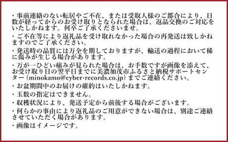 《先行予約》 「山之上果実農業協同組合」 山之上の梨 あきづき梨 1箱 約 2.5kg 5-8玉 梨 なし ナシ 【2025年9月上旬-10月上旬 発送予定】