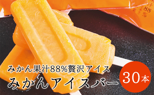 【早和果樹園】みかんアイスバー（氷菓）30本入（A495-3）
