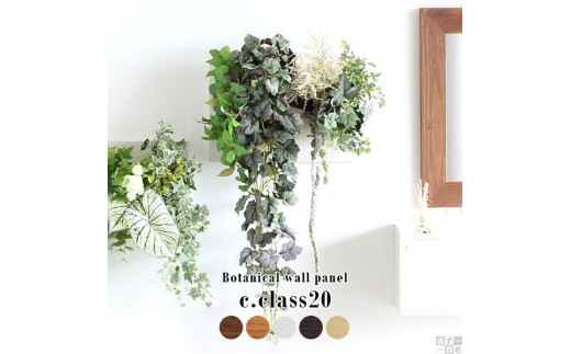 Botanical c.class 20　ブラウン