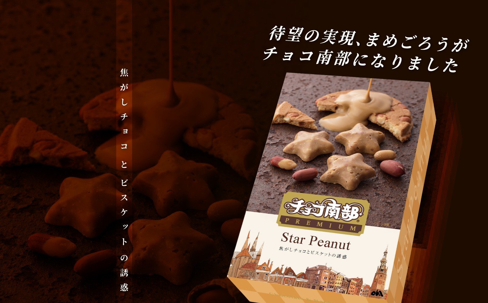 【季節限定】チョコ南部PREMIUM Star Peanut