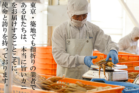生冷 ずわいがに カット済み 1.5kg (500g × 3) カジマ ずわい蟹 ズワイガニ かに カニ 蟹_AF064