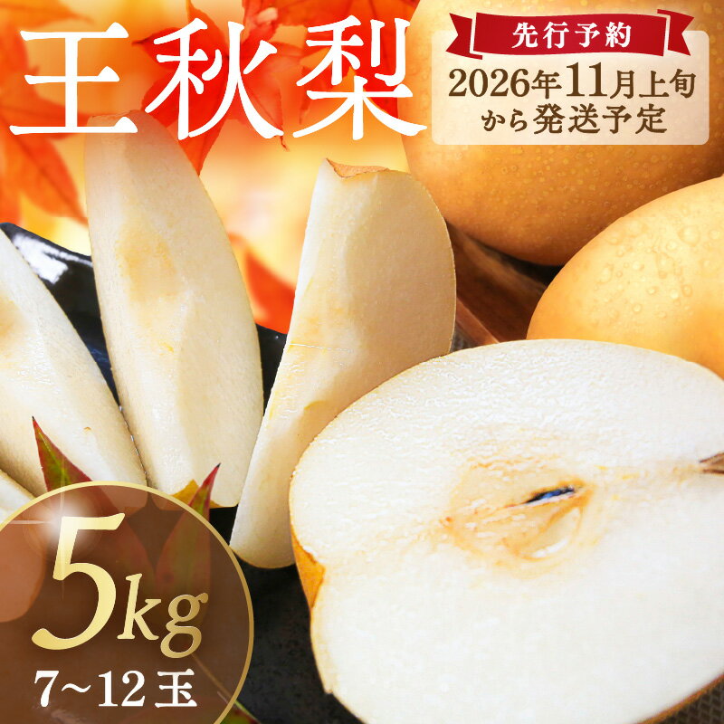 【ふるさと納税】高評価★5.0 高レビュー★【先行予約／数量限定200】農家直送 秋の王様 「王秋」5kg（概ね7玉～12玉）（2026年11月上旬～発送）梨 和梨 王秋 大玉 5kg 和梨 果物 果肉 果汁 京都 京都産 旬 農家直送 ふるさと納税 フルーツ