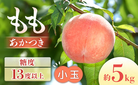 J-1【2026年発送先行予約】もも　あかつき（小玉） 約5kg【小玉 20～22玉】