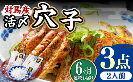 【全6回定期便】対馬産 活〆 穴子 ３点 セット B 新鮮 あなご 刺身 天ぷら 海鮮 二人前  [WAS010]