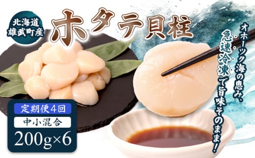 【定期便4回】　北海道雄武町産ほたて貝柱 中小混合 200g×6 (冷凍) 使い切りパック | ふるさと納税 北海道 雄武 ホタテ 帆立 ほたて 小粒 中粒 大粒 200g×6 4.8kg 冷凍 オホーツク オホーツク産 刺身 魚貝 魚介 海鮮 海産 海産物 魚介類 お取り寄せ ワンストップ マイページ 雄武漁業協同組合【07143】
