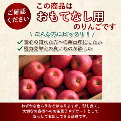 【26年2月より順次発送】平均糖度13度以上! シナノゴールド 約10kg おもてなし用【配送不可地域：沖縄県】