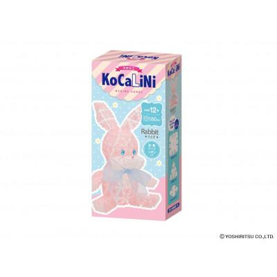 ふるさと納税 大淀町 KoCaLiNi Bセット |  | 02