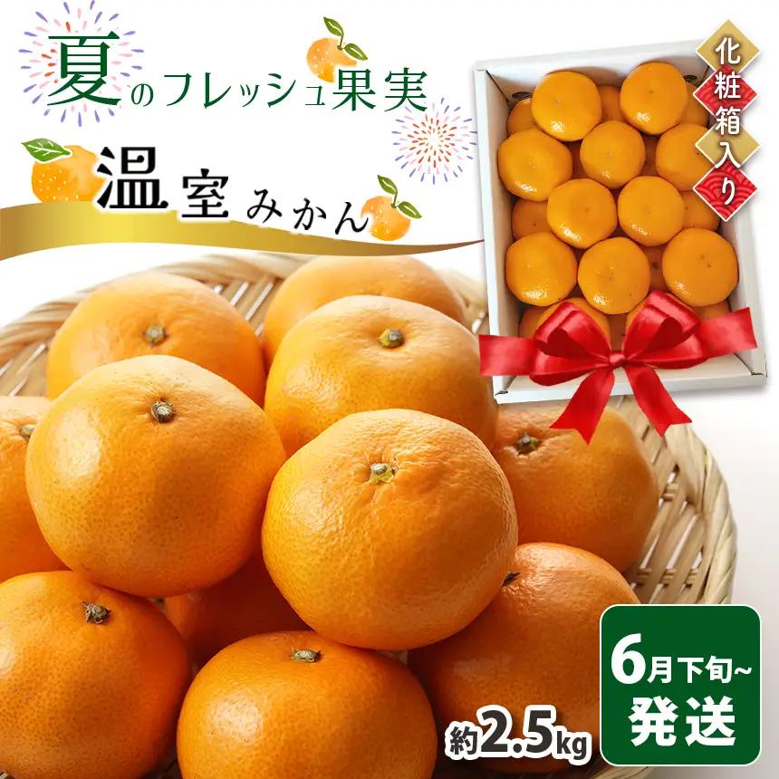 【 贈答用 】温室みかん  約 2.5kg 化粧箱入り 豊華の夢ロード【ふるなびWEEK対象】