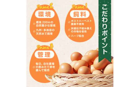 たまご家のハーブ卵（笑顔）60個 太良町産卵 たまご家卵 たまご 卵 タマゴ 佐賀県 太良町 ND3