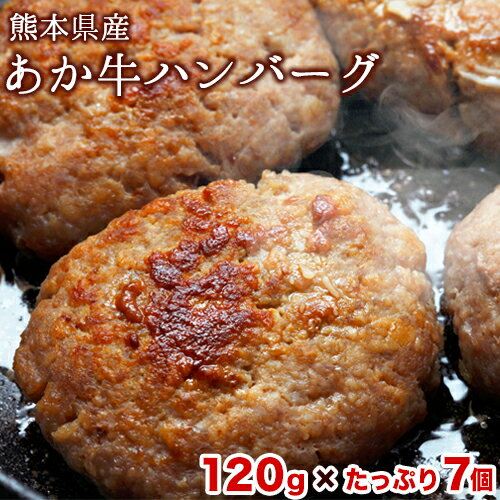 【ふるさと納税】熊本の和牛 あか牛ハンバーグ 熊本県産あか牛を使用した贅沢ハンバーグたっぷり7個入り あか牛 赤牛 あかうし《4月中旬-5月中旬頃出荷予定》送料無料 ふるさと納税 訳あり