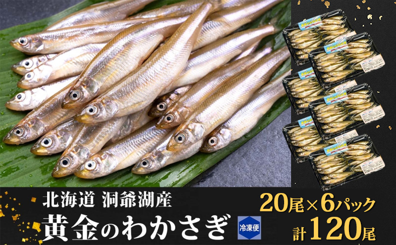 洞爺湖町産 黄金のわかさぎ 20尾×6P 計120尾 北海道産 ワカサギ わかさぎ 川魚 魚介類 産地直送 冷凍 お取り寄せ グルメ 料理 天ぷら フライ とうやマルシェ 北海道 洞爺湖町