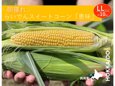 【先行予約】とうもろこし らいでん スイートコーン 恵味 LL 規格 約10kg 北海道 共和町 産地直送 JAきょうわ コーン めぐみ 黄色 とうきび トウモロコシ 野菜 旬の野菜 新鮮野菜（2026年7月下旬～8月上旬発送）
