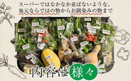 【定期便全4回】旬の採れたて 7～10種類お野菜詰め合わせセット TAGATAME タガタメ【野菜 特別栽培 栽培期間中農薬不使用 採れたて 香川県 さぬき市】