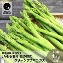 【ふるさと納税】北海道産 夏採り！JAそらち南 夏の味覚「グリーンアスパラガス」S～3L 1kg前後