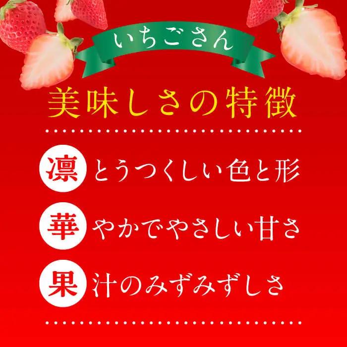 【2027年1月発送開始】いちごさん（450g×2パック） / フルーツ 苺 / 佐賀県 / JAからつ 唐津うまかもん市場 [41ABCA002]
