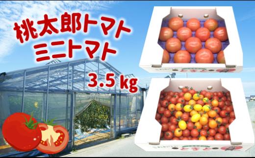 
蘇鉄園芸のトマト三昧 (ミニトマト2kg + 桃太郎トマト14個) | 野菜 やさい トマト とまと ミニトマト セット 熊本県 玉名市
