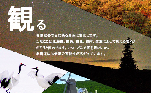 北海道 ANAトラベラーズダイナミックパッケージ割引クーポン 50,000点分 F6S-184