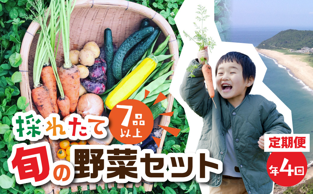 
【年4回 定期便 】金賞受賞 旬彩野菜セット 旬の野菜 7品目以上 レシピ付き お届け 国産 新鮮 農薬不使用 化学肥料不使用 産地直送 こだわり野菜
