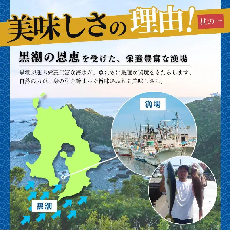鹿屋市産 かんぱち 胡麻醤油漬け 海鮮 丼 セット 8食分 KN097-005-03 カンパチ 魚 冷凍