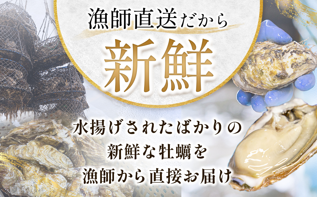 【先行予約】北海道 仙鳳趾名産 牡蠣 150g～199g×25コ＋かきナイフ付き かき漁師直送 K1-7 （出荷期間：2026年7月1日～9月末）【センポウシ : 釧路町の東 厚岸湾の西 カキの名産地
