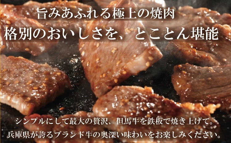 010AA05N.但馬牛経産牛　焼肉用（肩・モモ）500ｇ／焼肉セット 黒毛和牛 いちかわ精肉店 経産牛 牛肉 国産 bbq バーベキュー 焼き肉セット アウトドア キャンプ 冷凍 焼き肉用