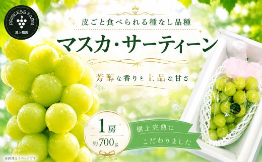 ぶどう マスカ・サーティーン （1房・約700g） 愛媛県西条市 【8月下旬～10月発送】 【先行予約】 ｜ぶどう 葡萄 マスカサーティーン 種なし 新品種 フルーツ 果物  農園直送 産地直送 愛媛県 西条市産 【オンライン決済限定】
