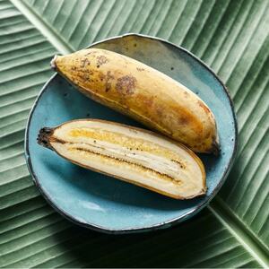西原町の栽培期間中農薬不使用のナムワバナナ5kg【1616146】
