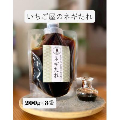 ふるさと納税 岬町 《3袋入り》万能調味料「ねぎタレ」便利なチューブパウチ　保存料・着色料無添加