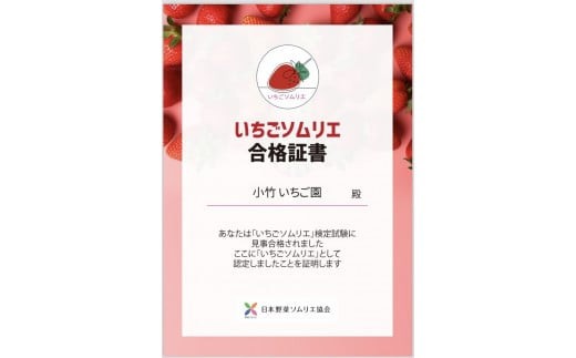 【先行予約】いちご とちあいかセット 270g×2パック（540g以上）｜いちご イチゴ 苺 先行予約 栃木県 果物 くだもの フルーツ とちあいか 新鮮 贈答 ギフト ※2027年1月～発送
