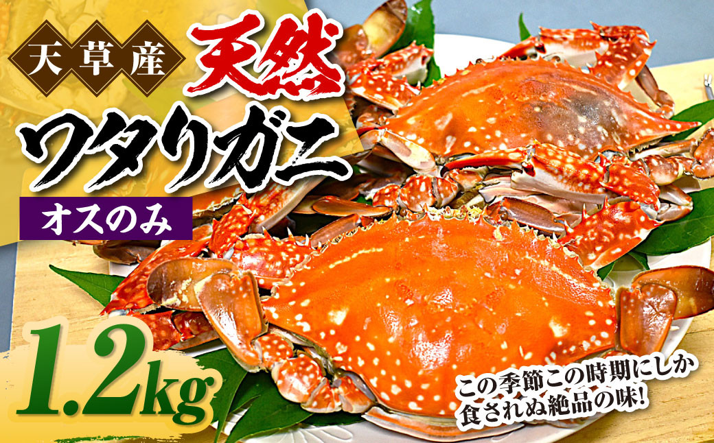 
            天草産 天然ワタリガニ オスのみ 1.2kg 3～6杯 ワタリガニ 渡り蟹 蟹 かに カニ 冷凍 熊本県 上天草市
          