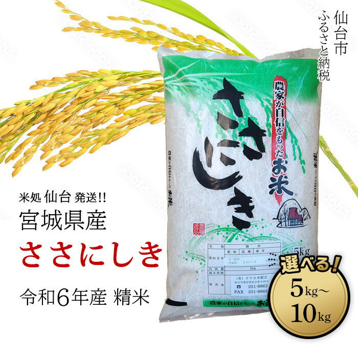 【ふるさと納税】【宮城県産 ささにしき】令和6年度産 精米 ＜ 選べる内容量 5kg ／ 10kg ＞【米 お米 こめ コメ ご飯 ごはん】 | お米 こめ 白米 食品 人気 おすすめ 送料無料