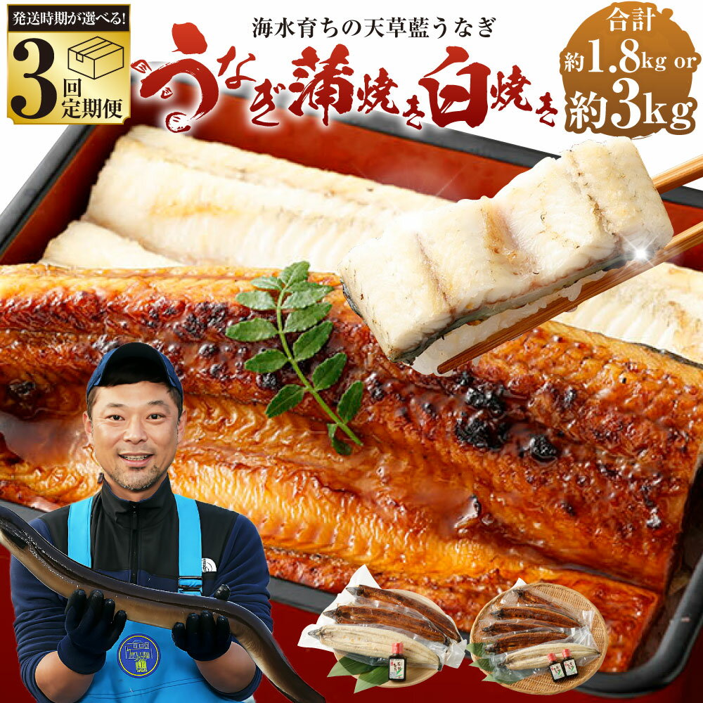 【ふるさと納税】【容量と発送時期が選べる3回定期便】【ミシュラン1星店 採用】数量限定 1日10セット限定 海水育ちの天草藍うなぎ 紅白3~4尾/5~7尾セット【合計約600g/1kg】鰻 高級 ウナギ ニホンウナギ 熊本産 蒲焼 蒲焼き たれ 贈り物 ご褒美 簡単調理 丑の日 送料無料