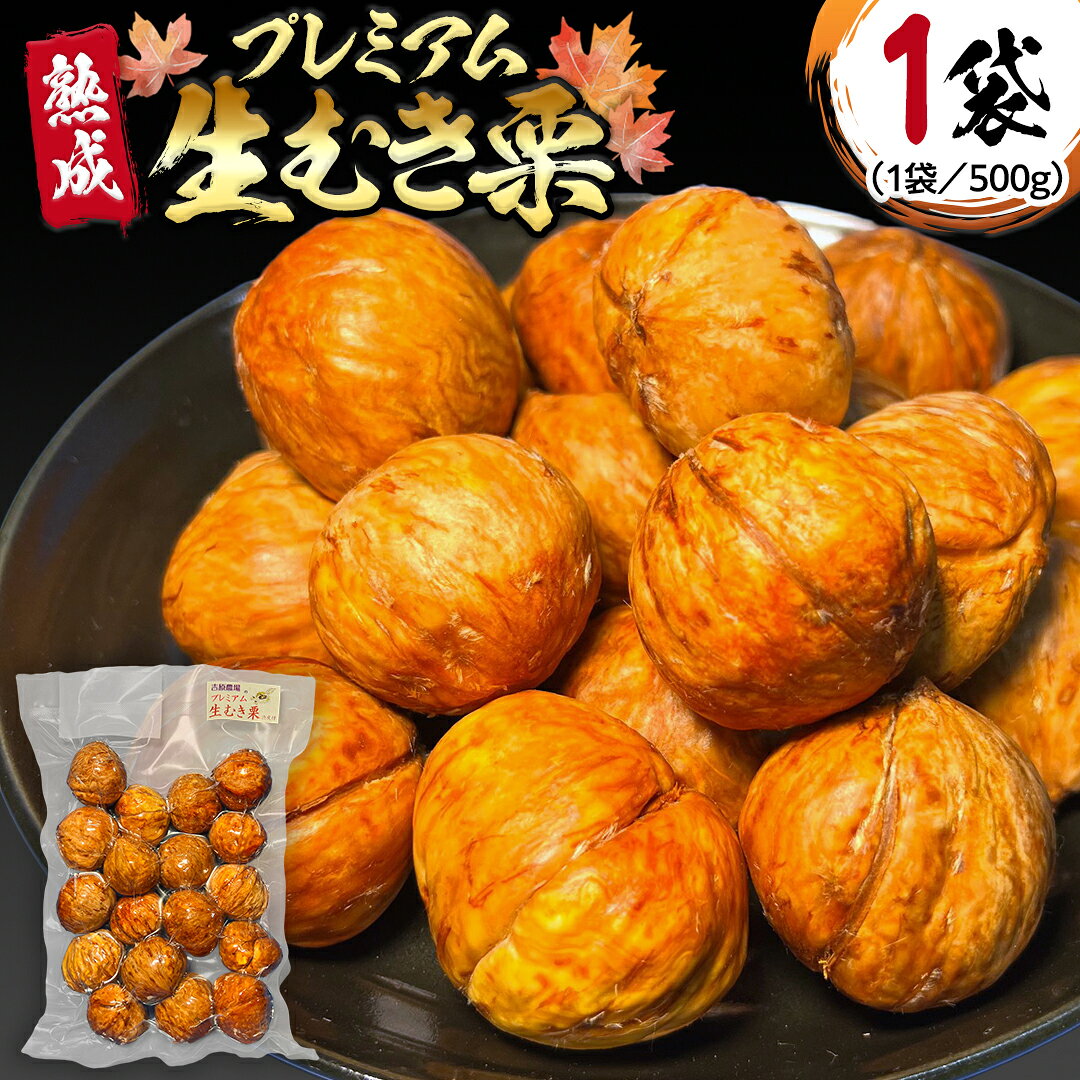【ふるさと納税】《 2026年 収穫分 》 熟成 プレミアム 生むき栗 ( 渋皮付き 500g × 1袋 ) 先行予約 吉原農場 国産 完熟 栗 くり クリ 栗ごはん 栗きんとん 和栗 生栗 おやつ 和菓子 果物 フルーツ 贈答 ギフト 旬 秋の味覚 秋 冬 正月 おせち 小分け