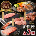 【ふるさと納税】【3か月定期便】宮崎牛ステーキ定期便 牛肉 肉 肩ロースステーキ サイコロステーキ モモステーキ 赤身 ロース モモ霜降り 宮崎牛 料理 アウトドア キャンプ バーベキュー BBQ 贈り物 贈答 ギフト おすそ分け クリスマス お祝い プレゼント 宮崎県 高千穂町