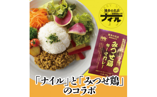 
DR002　博多の名店ナイル　みつせ鶏キーマカレー１０パックセット
