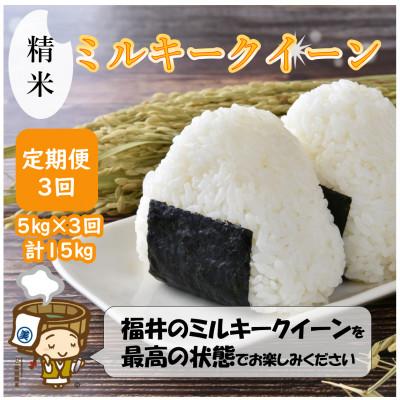 ふるさと納税 あわら市 【毎月定期便】ミルキークイーン 精米 5kg全3回
