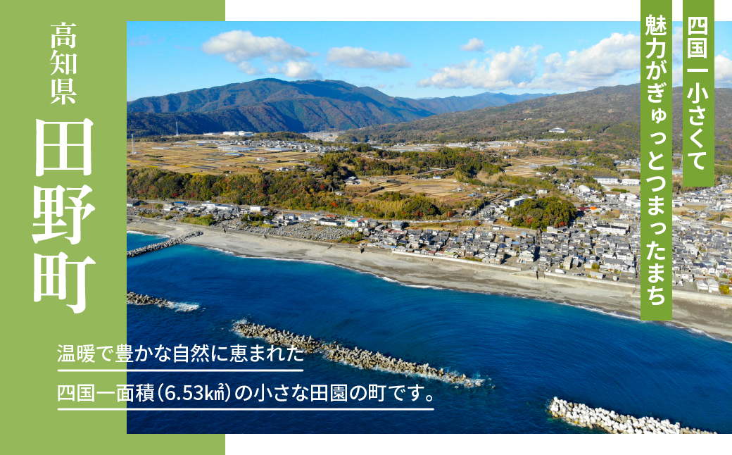 
            【四国一小さなまちの地酒】美丈夫(びじょうふ) 特別本醸造 1800ml×１本 一升瓶 酒 お酒 地酒 日本酒 1800 特別本醸造 特別 本醸造 美丈夫 びじょうふ 濱川商店 高知県 田野町
          