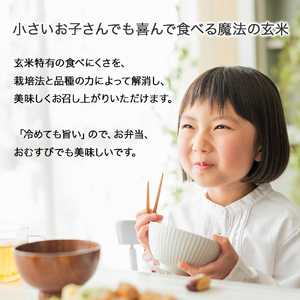 【有機玄米】希少な四万十の香る米 4.8kg（8合×4袋）四万十INEKA（稲華香米）化粧袋仕様 ／Fsg-Z02 小分け 便利 玄米 高知県 四万十町
