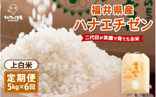 【令和7年産・新米】【6ヶ月連続お届け】ハナエチゼン5kg×6回 計30kg (上白米) ～福井県産 生産者直送！～ 【定期便 お米 華越前 ぶつき米 無洗米 玄米 ブランド米 人気 ふるさと納税米】 [H-0204_01]