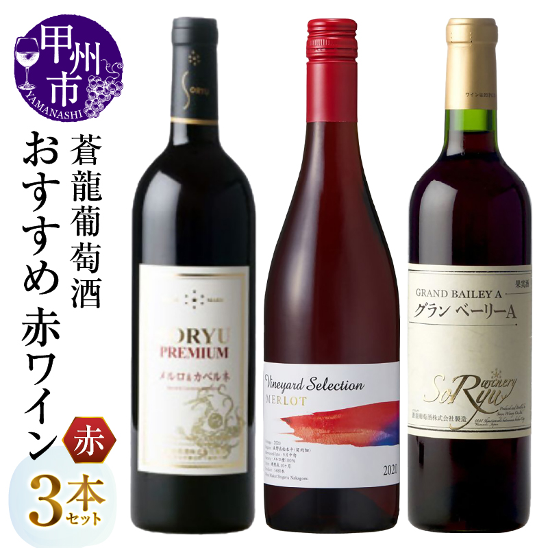 蒼龍葡萄酒おすすめ赤ワイン3本セット（MG）C1-485