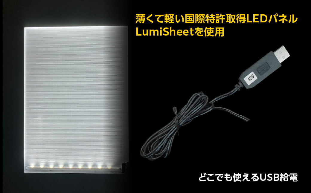 写光Shapica（シャピカ）Lサイズ　西川材フレーム 　1枚板タイプ　USB接続　HNNO002